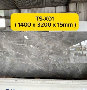Nung kết TS-X01